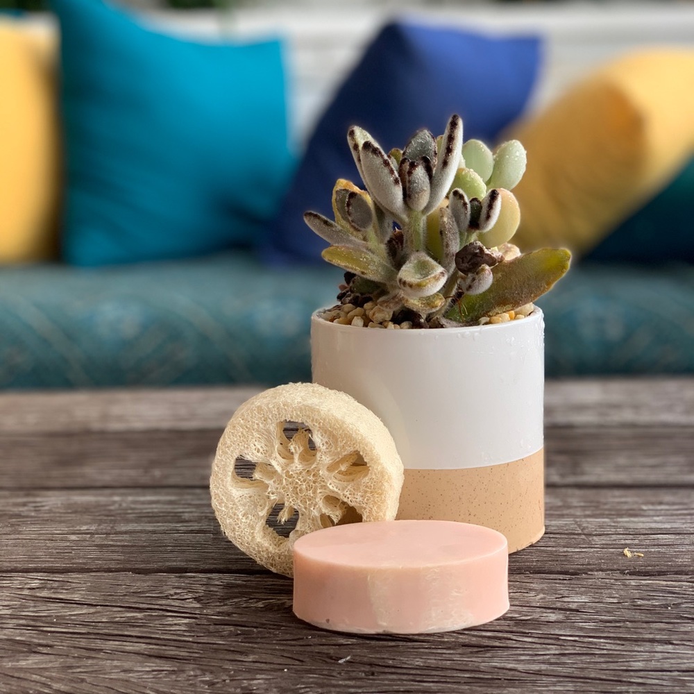 Meet your Posher, Fefi